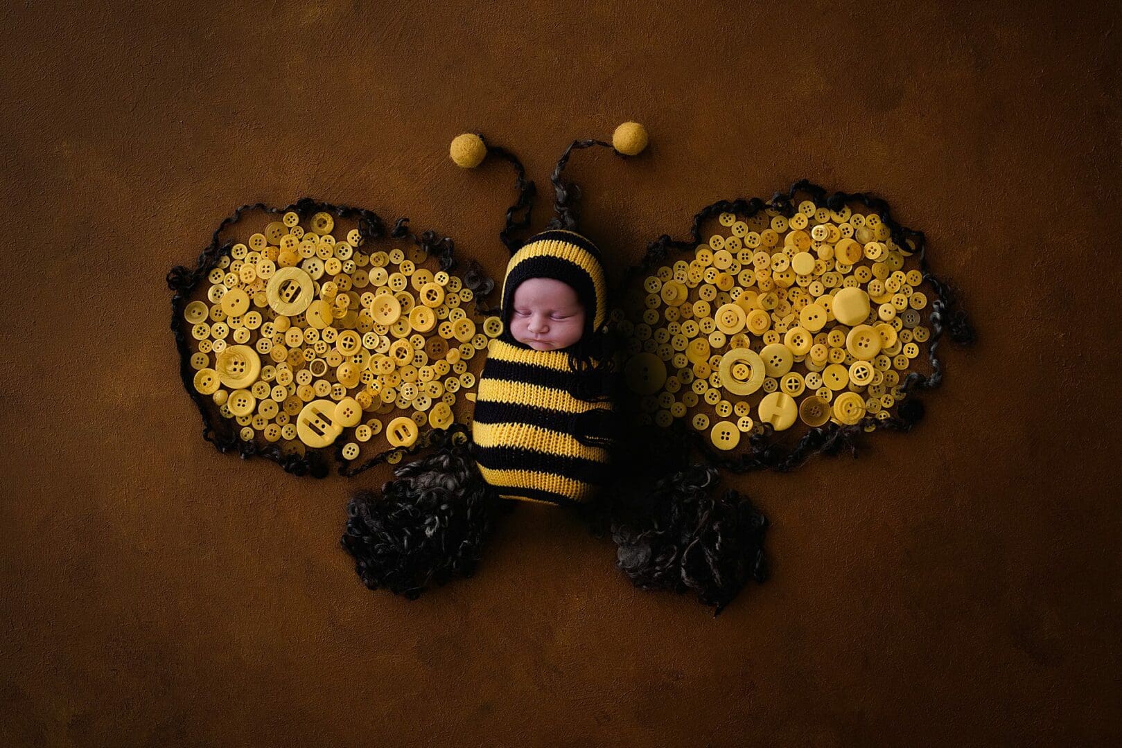 baby bee photo, digitaly done