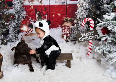 feeding the dog in a costume Christmas mini sessions at mansfield nottingham