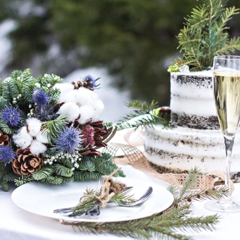 a beautiful winter wedding table with a winter look, having pinecones and ferns with a cake and a drink of fizz