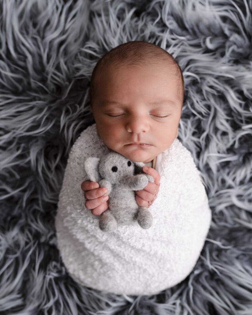 Newborn baby boy, all wrapped up in a white wrap holding a toy elephant during his newborn session in mansfield.