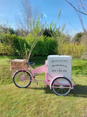 A pink ice cream tricycle stands on a grassy field. It has a white freezer labeled "Traditional Ice Cream" and a front basket. The background features green bushes and leafless trees under a clear blue sky.