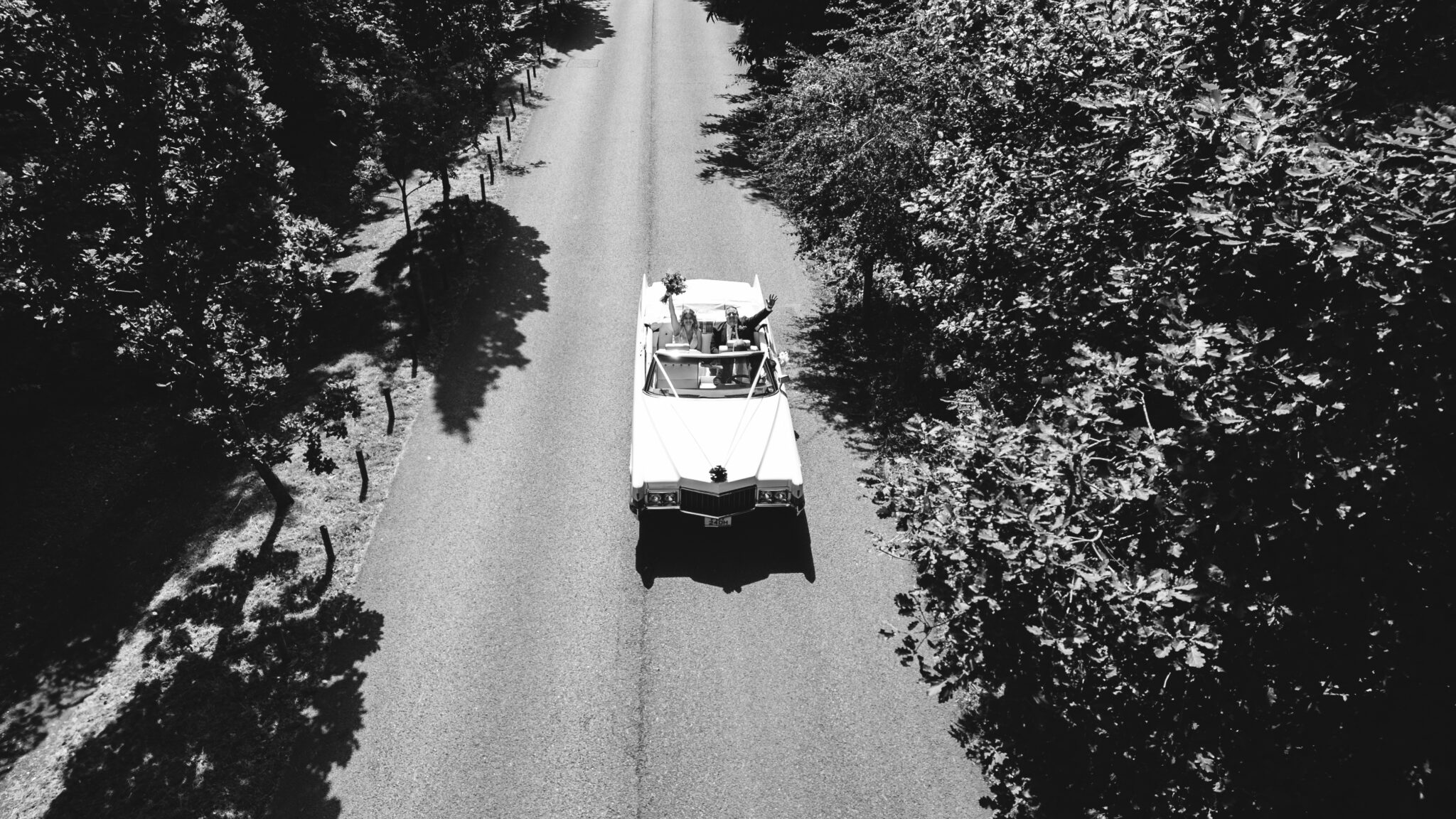 Black and white aerial photo of a classic convertible driving down a tree-lined road. A couple stands up in the back, embraced and joyful as they ride along the sunlit path. Shadows of the trees stretch across the road.