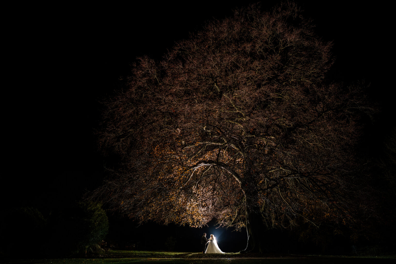 A bride and groom stand embracing under a large, leafless tree at night at Ringwood Hall, illuminated by a soft light, with darkness surrounding the scene and the tree’s bare branches arching overhead—captured by a Derby wedding photographer.
