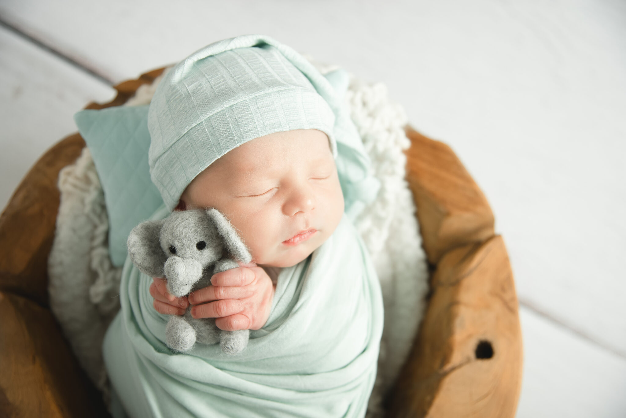 Sleeping baby holds stuffed elephant toy