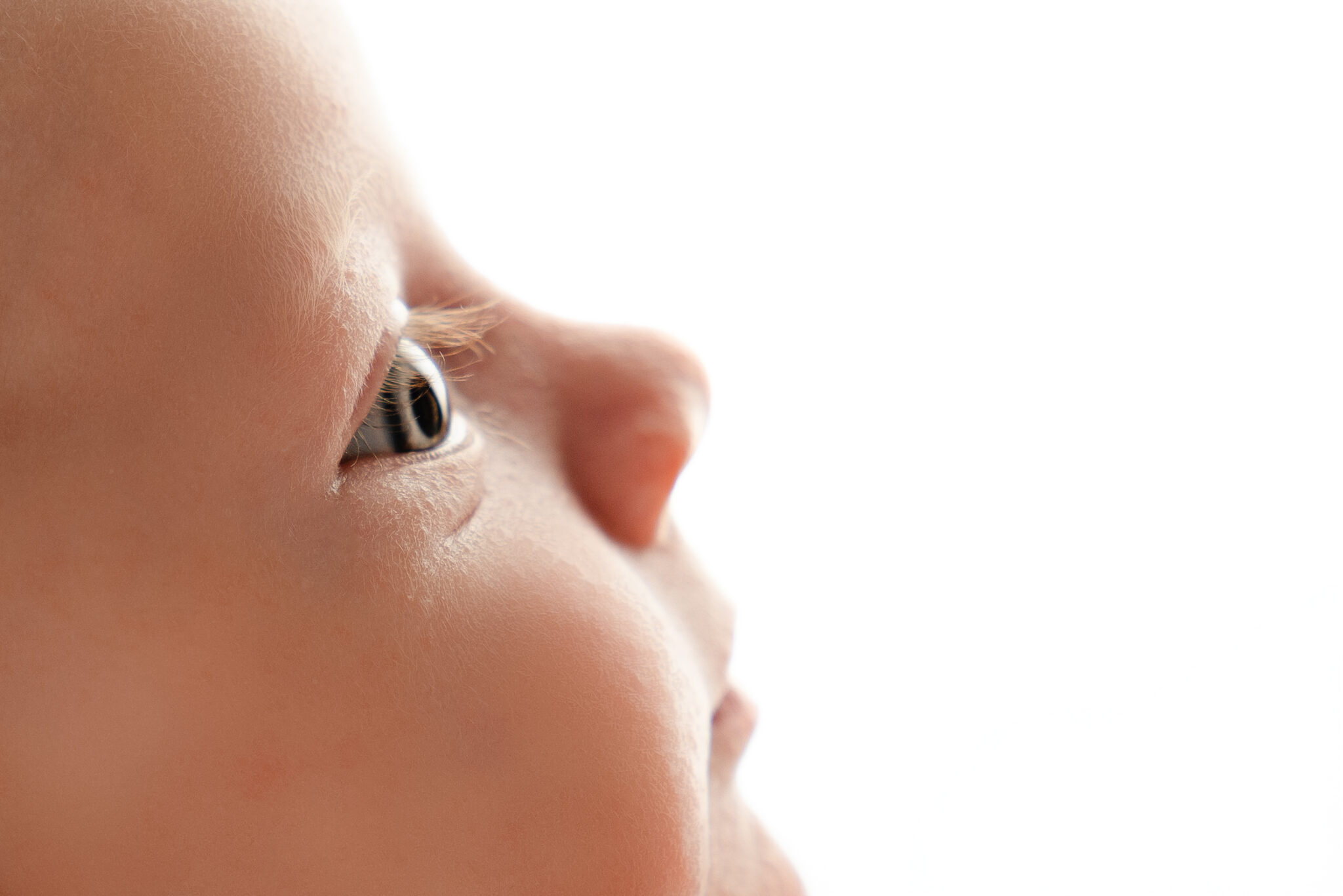 Close-up of a baby's face in profile.