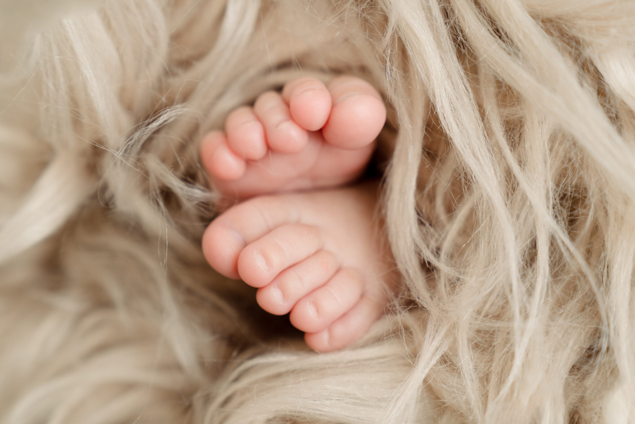 Baby feet nestled in fluffy blanket