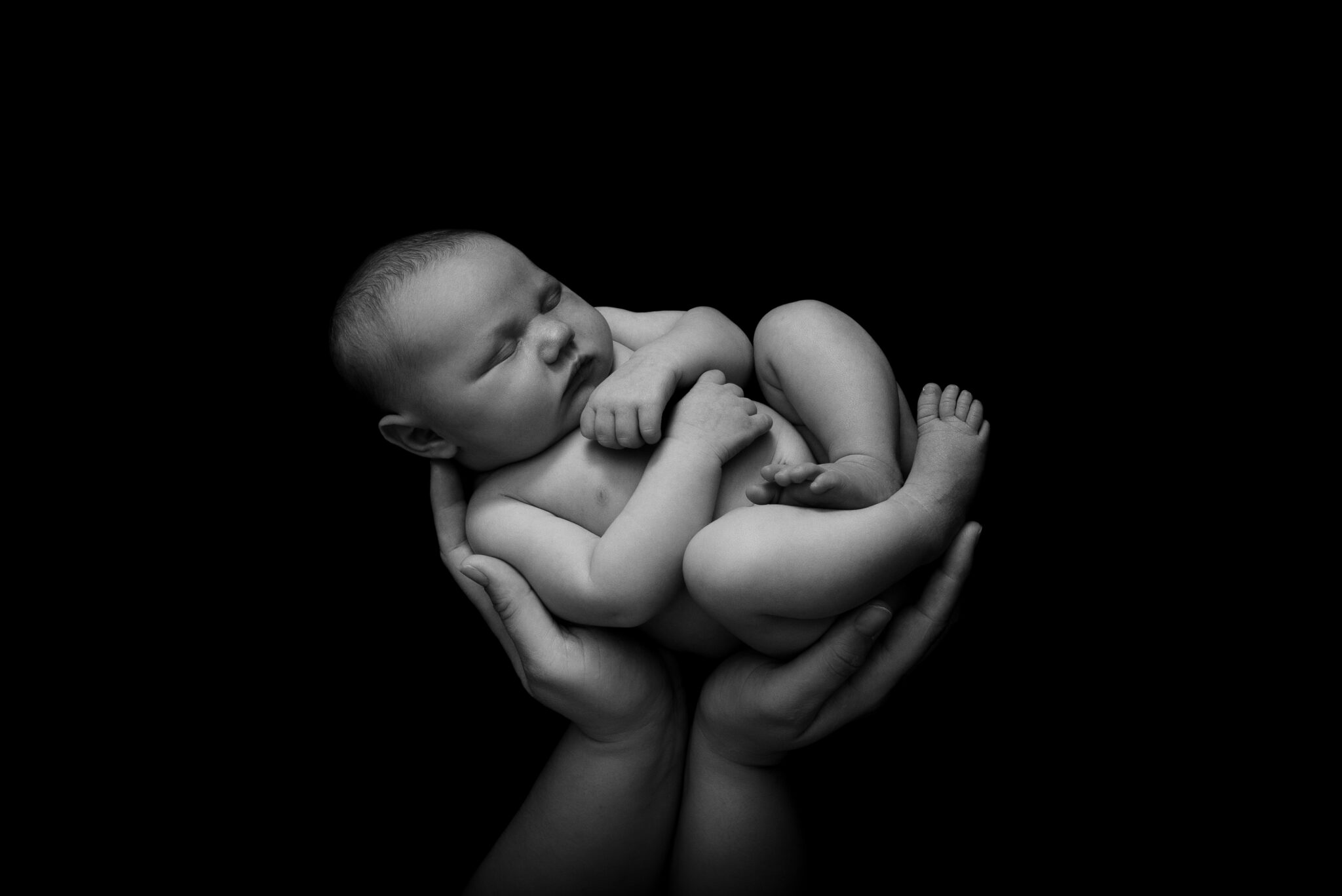 Newborn baby asleep in hands, black background.